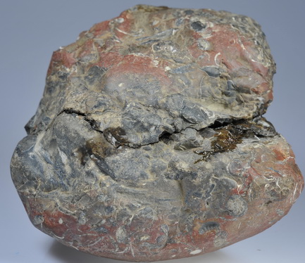 The glued together halves of the nodule