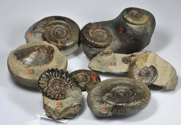 Recent prep results, numbers see text