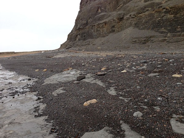 The paltum subzone at Hawkser Bottoms