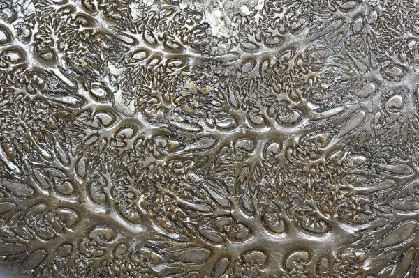 Sutures of Phylloceras (Zetoceras) zetes, upper Pliensbachian, Reutlingen / Germany