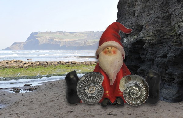 Santa is having a small Coroniceras sp. (left) and a Grammoceras thouarsense (right) leaned against his knees. Ravenscar in the background.