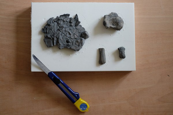 Ichthyosaur paddle bones laid out on a piece of foam for taking measure