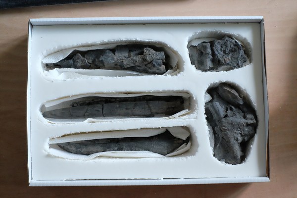 ...the jaw parts fitted in (and you know the rest)