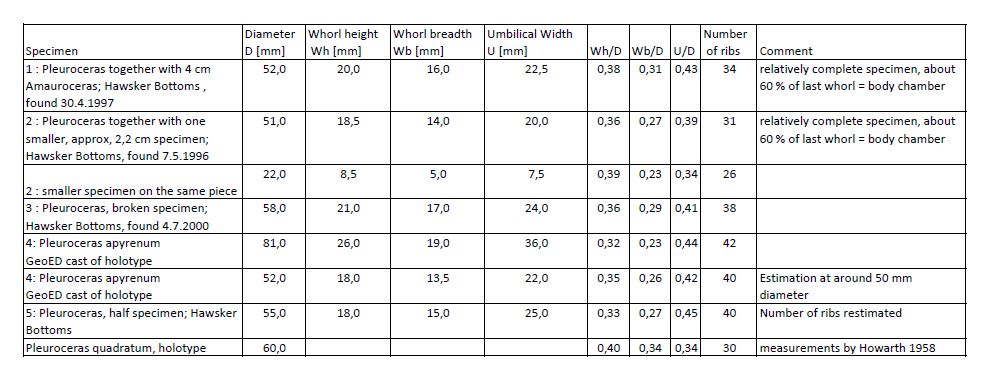Measurements of P. apyrenum specimen