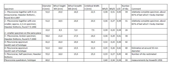 Measurements of P. apyrenum specimen