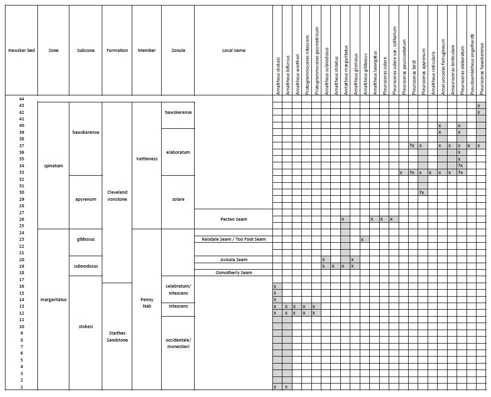 Occurrence of Amaltheidae in Yorkshire