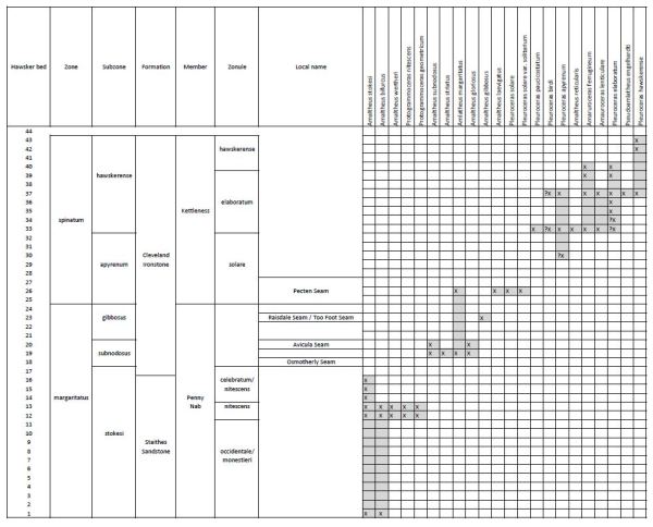 Occurrence of Amaltheidae in Yorkshire