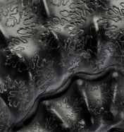 Detail of Pleuroceras paucicostatum, showing sutures and ribbing